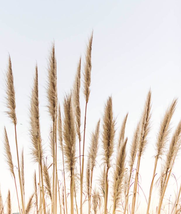 psicoterapia O Teu Lugar psicoterapia O Teu Lugar